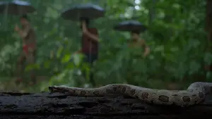 Задник к фильму "സംഭവം അദ്ധ്യായം ഒന്ന്" #772001