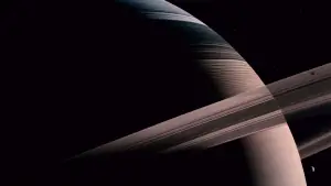 Задник к фильму "Древо жизни" #723944