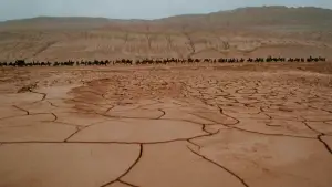 Задник к фильму "Крадущийся тигр, затаившийся дракон" #633595