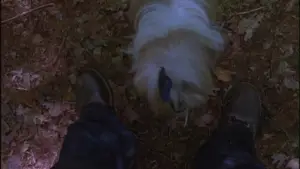 Задник к фильму "Пятница 13 - Часть 2" #665857