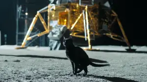 Задник к фильму "Покажи мне луну" #581082