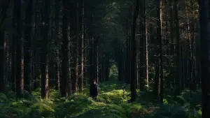 Задник к фильму "" #522114