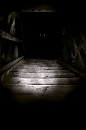 Постер к фильму "Бугимен" #282617