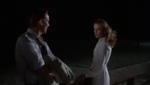 Задник к фильму "Жар тела" #722843