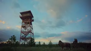 Задник к фильму "Сны поездов" #514862