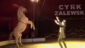 Задник к фильму "Внутренняя империя" #713681