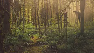 Задник к фильму "Перспектива" #299509