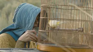 Задник к фильму "Обход Мика" #490091