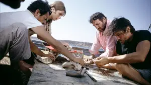 Задник к фильму "Искатели приключений" #462616