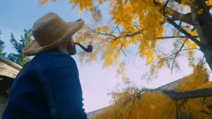 Задник к фильму "Ван Гог. На пороге вечности" #252534