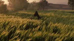 Задник к фильму "Царство небесное" #618696