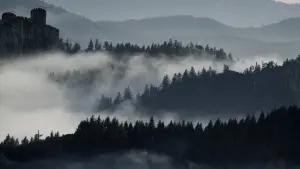 Задник к фильму "Время монстров" #389689