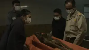 Задник к фильму "" #534047