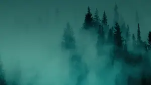 Задник к фильму "Hunting Matthew Nichols" #775398