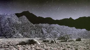 Задник к фильму "Дрожь земли" #255648