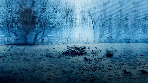 Задник к фильму "Звонок" #430320