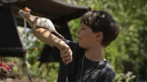 Задник к фильму "" #543695