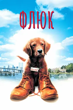 Постер к фильму "Флюк"