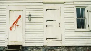 Задник к фильму "Таинственный лес" #728807