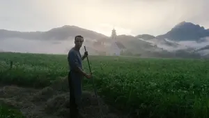 Задник к фильму "Тайная жизнь" #237882