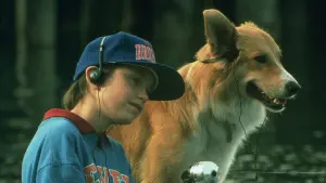 Задник к фильму "Бинго" #461195