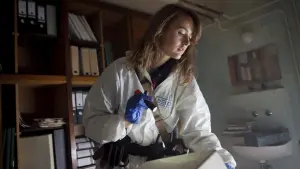 Задник к фильму "Темный лес 2" #486545