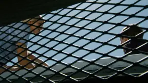 Задник к фильму "Проект X: Дорвались" #663973