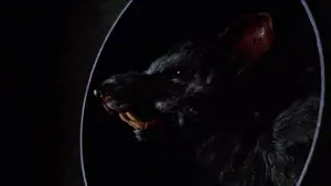 Задник к фильму "" #500966