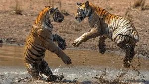 Задник к фильму "" #463656