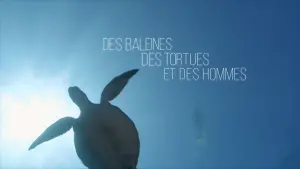 Задник к фильму "Des baleines, des tortues et des hommes" #197660