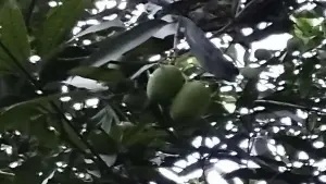 Задник к фильму "" #460198