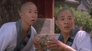 Задник к фильму "Храм Шаолинь 3: Боевые искусства Шаолиня" #456799