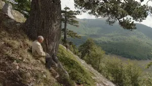 Видео к фильму Дыра | ДІРА З 23 БЕРЕЗНЯ 2023 / IL BUCO, офіційний український трейлер, 2023