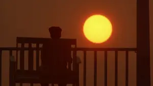 Задник к фильму "Цветы лиловые полей" #680585