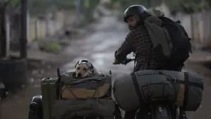 Задник к фильму "777 Чарли" #418990