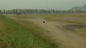 Задник к фильму "Яркий летний день" #711913