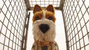 Задник к фильму "Остров собак" #606301