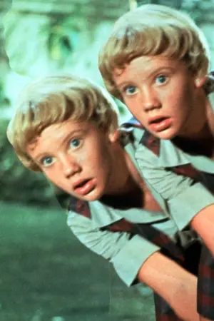 Постер к фильму "Ловушка для родителей" #246418