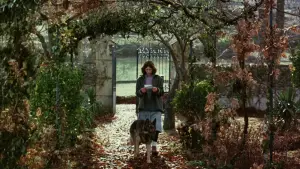 Задник к фильму "Юг" #535737