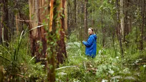 Задник к фильму "Город тайн: Исчезнувшая" #430471