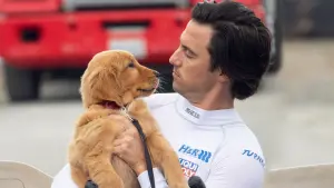 Задник к фильму "Невероятный мир глазами Энцо" #175812