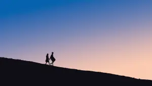 Задник к фильму "Поклонение" #495591