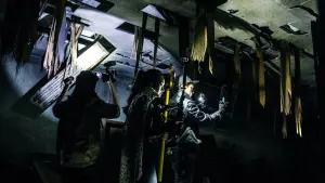 Задник к фильму "Психиатрическая больница Конджиам" #224260