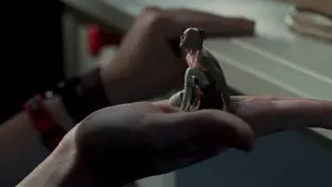 Задник к фильму "Индеец в шкафу" #284799