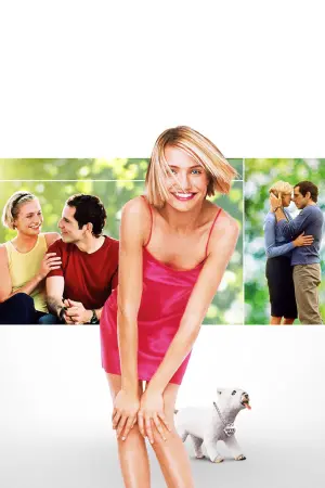 Постер к фильму "Все без ума от Мэри" #273207