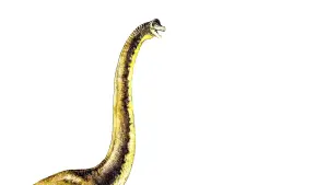 Задник к фильму "Парк Юрского периода" #181493