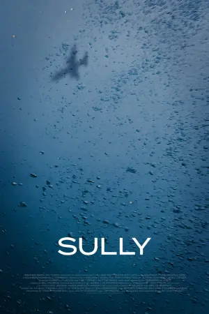 Постер к фильму "Чудо на Гудзоне" #234201