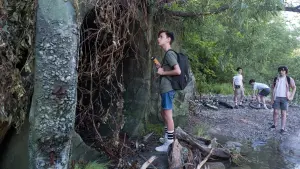 Задник к фильму "Оно" #230372