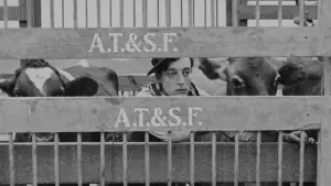 Задник к фильму "На Запад" #482525