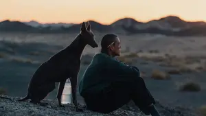 Задник к фильму "" #600712